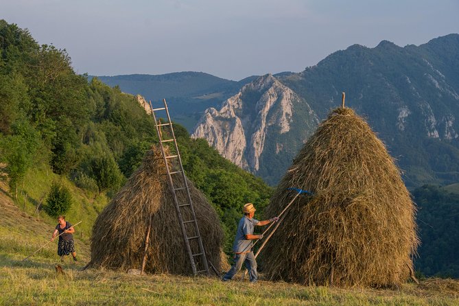 Local Experience From Brasov - Transylvanian Villages and Bran Castle - Inclusions and Exclusions