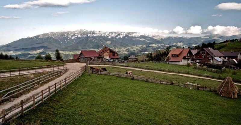 Local Experience in Brasov and Its Surroundings - Dining Experience