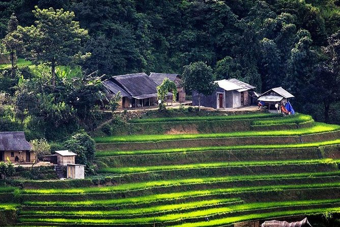 Local Experience in Sapa Trekking Tours - Scenic Mountainous Terrain