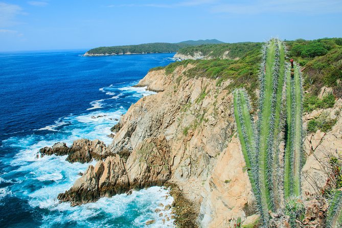 Local Experience Shopping and Sightseeing Tour - Tour Inclusions