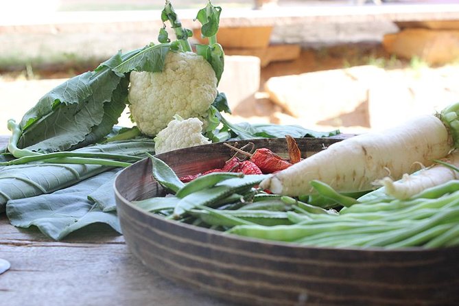 Local Farm and Village Visit With an Authentic Rajasthani Vegetarian Meal - Key Points