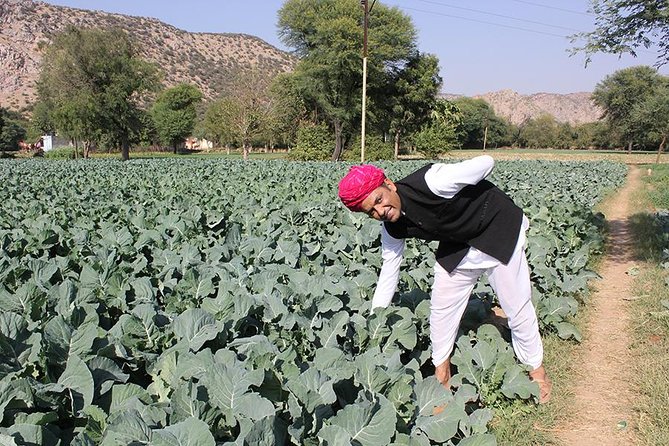 Local Farm and Village Visit With an Authentic Rajasthani Vegetarian Meal - Tour Overview