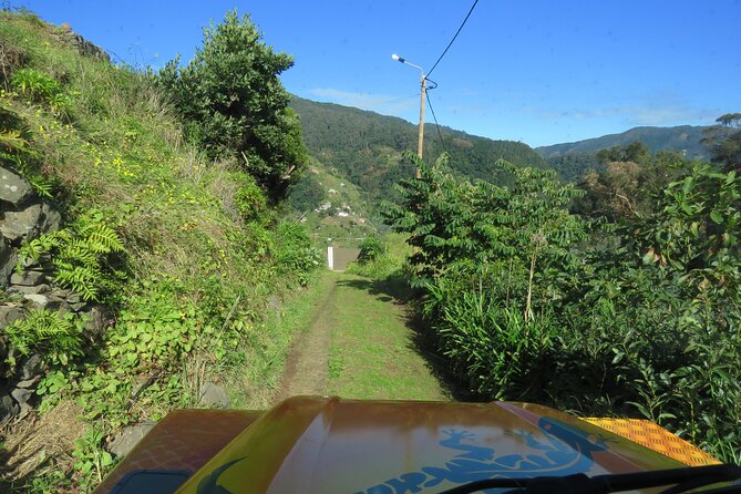 Local Farmers Market and 4WD Experience From Funchal - Highlights of the Tour