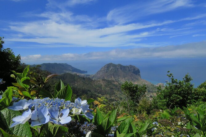 Local Farmers Market and 4WD Experience From Funchal - Traveler Photos and Experiences