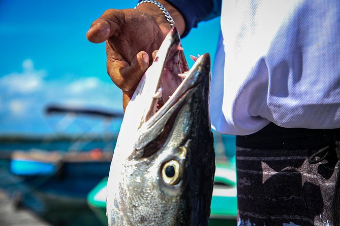 Local Fishing Plus Snorkeling Tour in Isla Mujeres - Meeting and Transportation