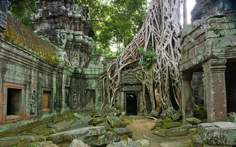Local French Speaking Guide for Angkor Wat Day Tour - Costs and Inclusions