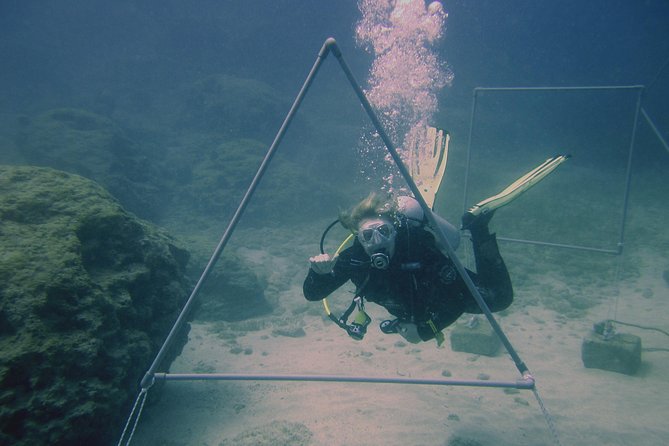 Local Guided Dives (For Certified/Licensed Divers) - Dive Sites in Protaras and Cape Greko
