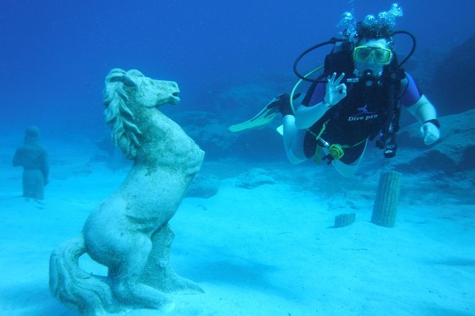 Local Guided Dives (For Certified/Licensed Divers) - Scuba Equipment Provided