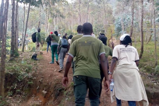 Local Hills Hiking - Tour Requirements