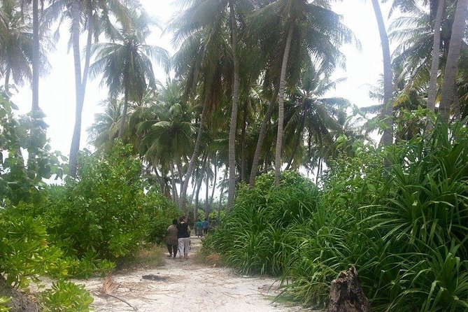 Local Island Day Trip From Hulhumale - Inclusions and Meeting Details