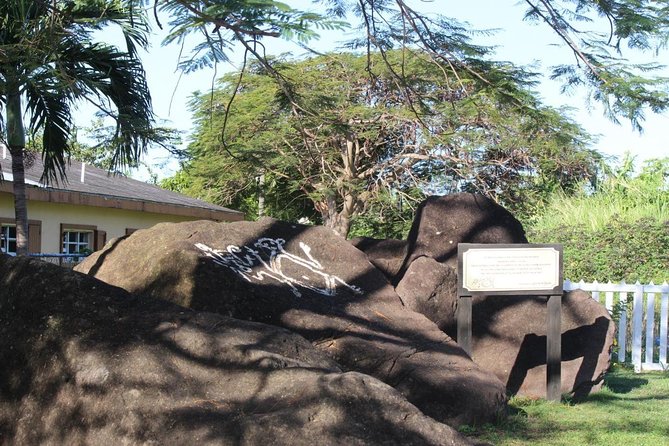 Local Lunch & Half Day Island Tour - Option 2 - Inclusions and Exclusions