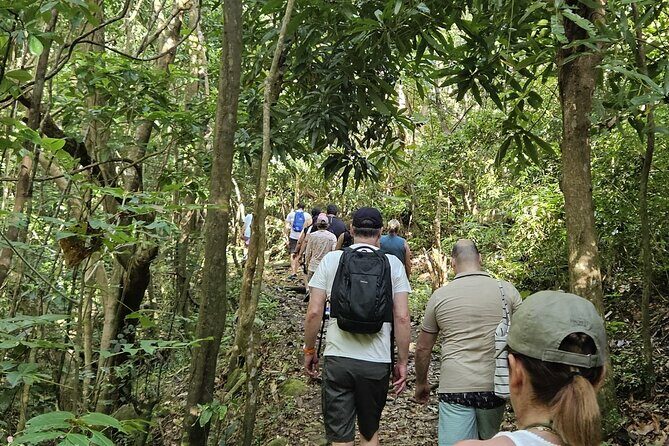Local Nevisian Kittitian Experience Hikes Bikes & Bees Tour - Key Points