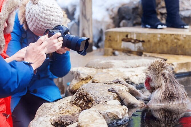 Local Private Tour to Jigokudani Snow Monkey Park - Key Points