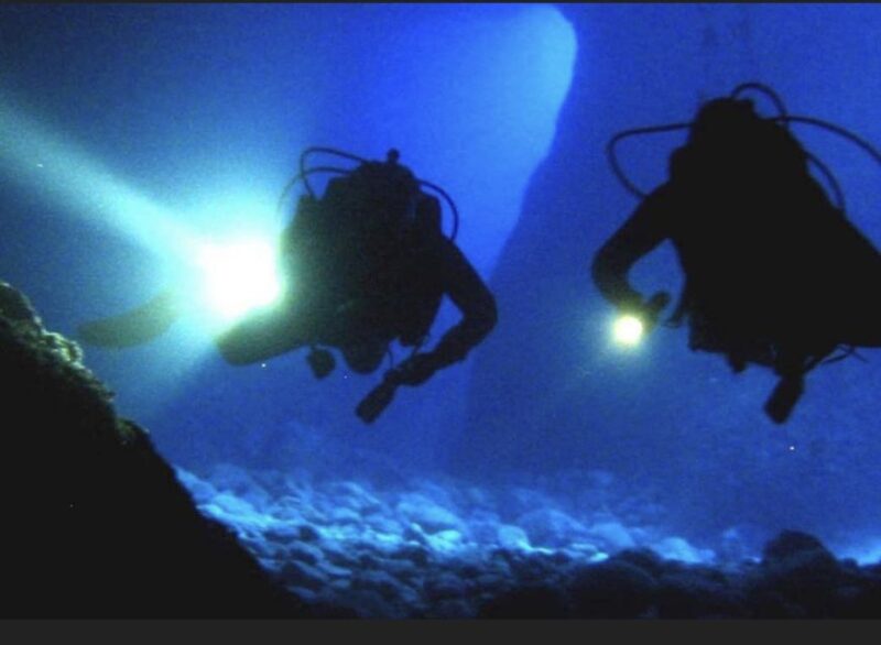 Local Scuba Night Dive - Dive Experience