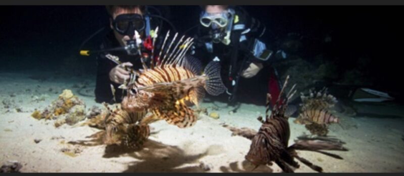 Local Scuba Night Dive - Location & Significance