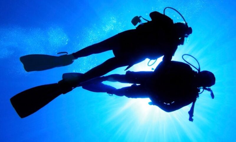 Local Scuba Night Dive - Participant Requirements