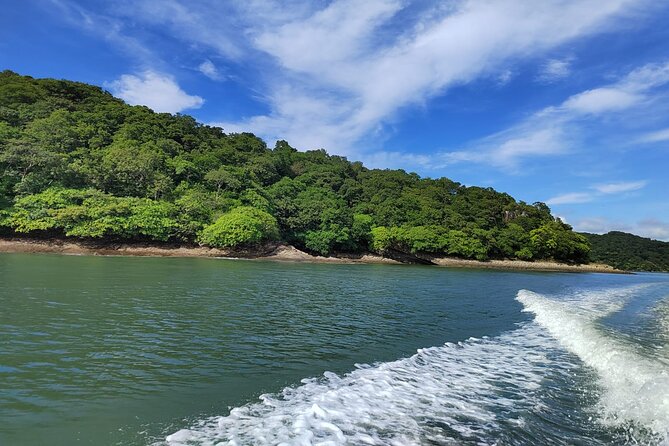 Local Sightseeing & Mangrove Tour - Transportation and Amenities