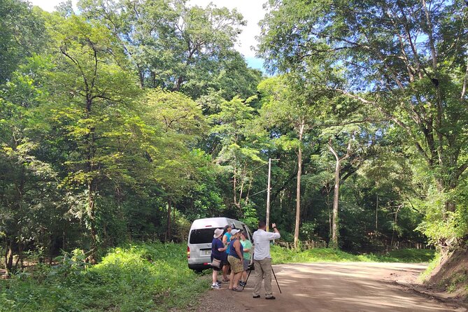 Local Sightseeing & Mangrove Tour - Taking in Mangrove Ecosystems