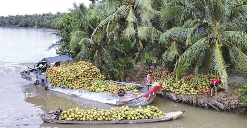Local Touch-Less Touristy Mekong Delta Ben Tre Day Trip - Itinerary Highlights