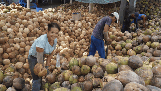 Local Touch-Less Touristy Mekong Delta Ben Tre Day Trip - Contact Information