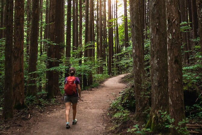 Local Traditions of Magome and the Nakasendo Road: From Nagoya - Hiking the Nakasendo Road