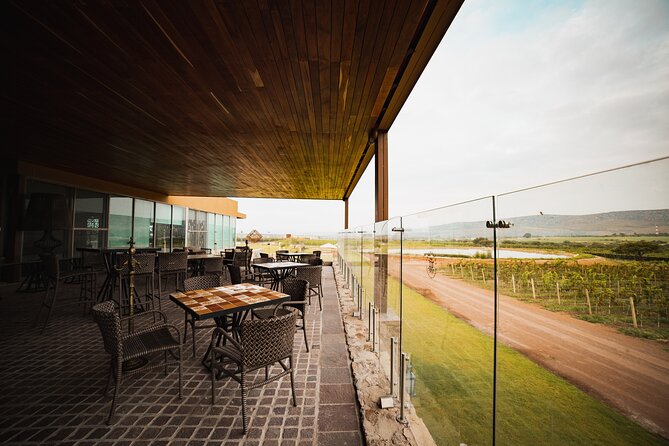 Local Vineyard Tour & Wine Tasting at the Independence Valley - Transportation and Accessibility