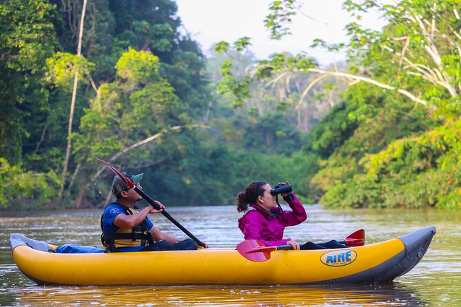 Locally Guided Tambopata Amazon Jungle Tour (4 Days) - Itinerary Breakdown