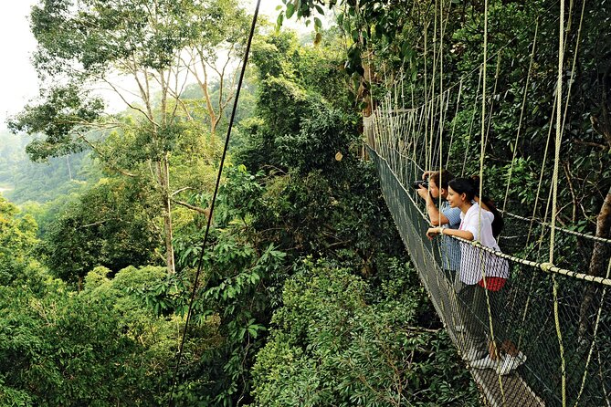 Locally Guided Tambopata Amazon Jungle Tour (4 Days) - Included and Logistics
