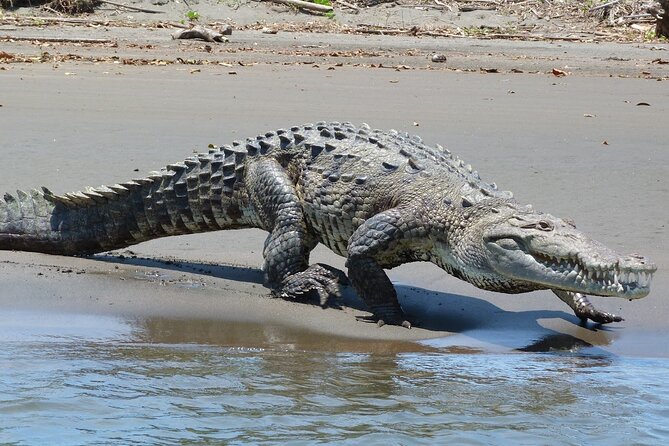 Locally Guided Tambopata Amazon Jungle Tour (4 Days) - Confirmation and Cancellation
