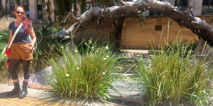 LocalPlaces Understanding Johannesburg Walking Tour - Frequently Asked Questions