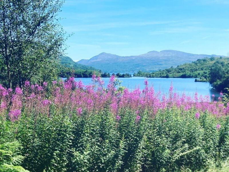 Loch Katrine Ebike Tour - Tour Experience
