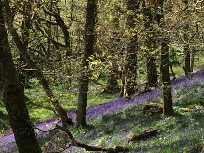 Loch Katrine Ebike Tour - Guided Services