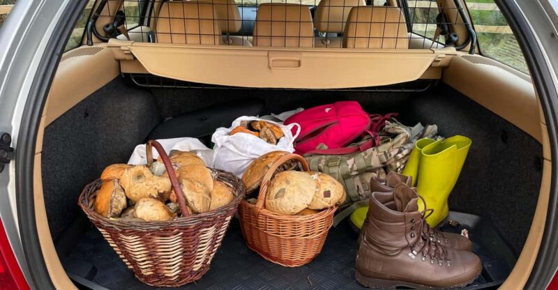 Loch Lomond: Guided Wild Food Forage & Feast - Pricing and Availability