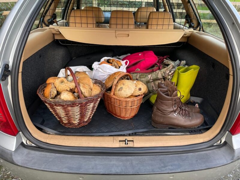 Loch Lomond: Guided Wild Food Forage & Feast - Itinerary and Foraging Locations
