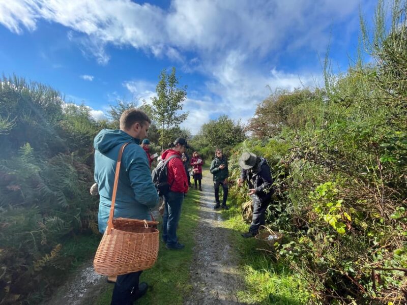Loch Lomond: Guided Wild Food Forage & Feast - Wild Picnic and Refreshments