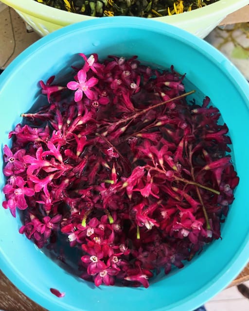 Loch Lomond: Guided Wild Food Forage & Feast - Age Suitability and Accessibility