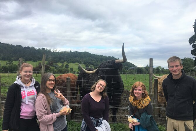 Loch Lomond National Park Tour With 2 Walks Starting Balloch - Knowledgeable Local Guide