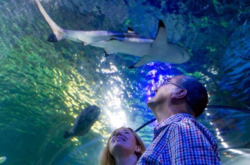 Loch Lomond: Sea Life Entrance Ticket - Facilities and Accessibility