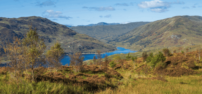 Loch Lomond & Trossachs National Park Drive Tour With an App - Frequently Asked Questions