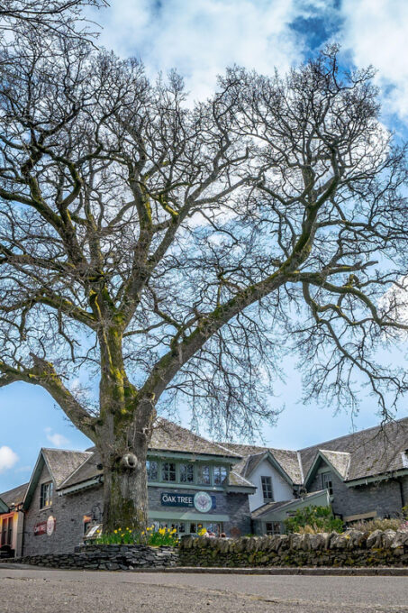 Loch Lomond: Whisky Tasting - Guided by Whisky Experts