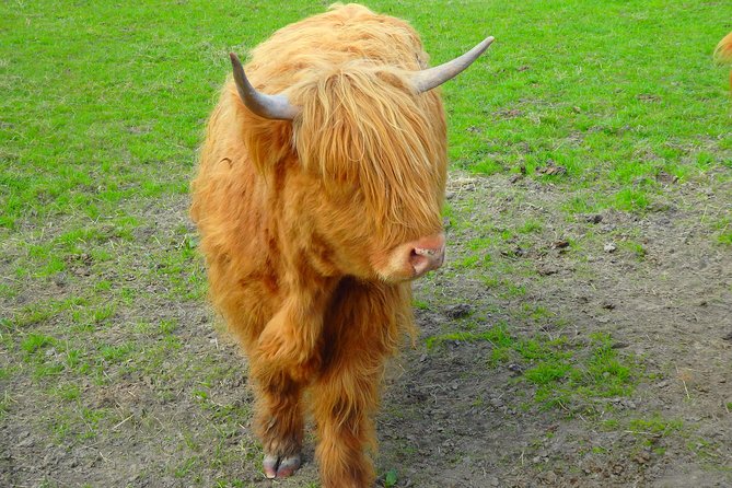 Loch Ness & Culloden Battlefield Private Tour From Inverness - Private Transportation and Knowledgeable Guide