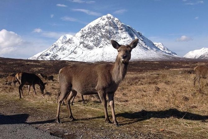 Loch Ness, Glencoe, and the Highlands Day Trip From Glasgow - Activity Options