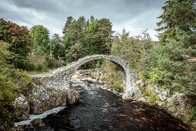 Loch Ness Private Day Tour up to 8 Passengers - Accessibility Information
