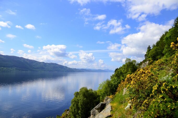 Loch Ness: Urquhart Castle Round-Trip Cruise - Accessibility and Pets