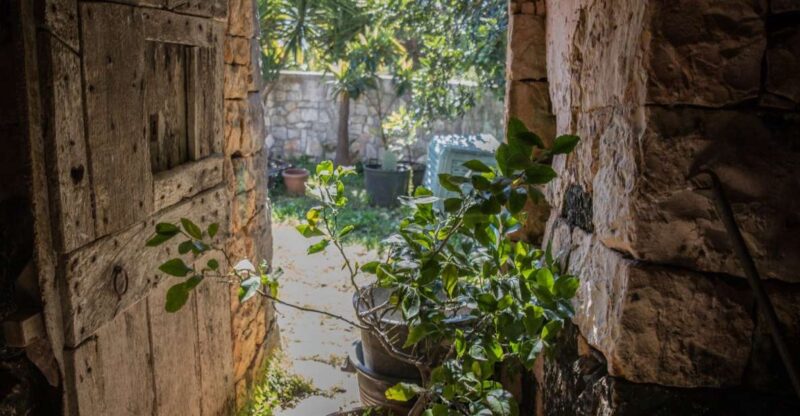 Locorotondo: Guided E-Bike Tour With Olive Oil Tasting - Key Points