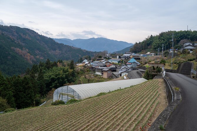 Lodging Plans With Game Cuisine / Tokushima, Shikoku - Booking and Availability
