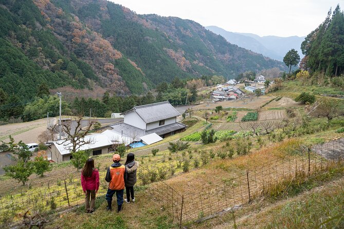 Lodging Plans With Game Cuisine / Tokushima, Shikoku - Cancellation Policy