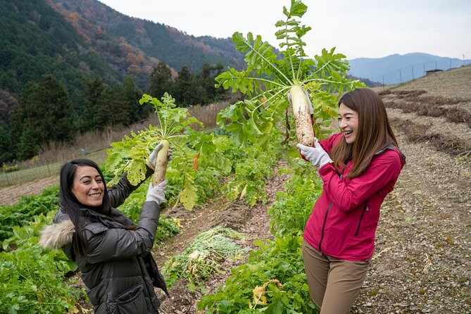 Lodging Plans With Game Cuisine / Tokushima, Shikoku - Contact Information