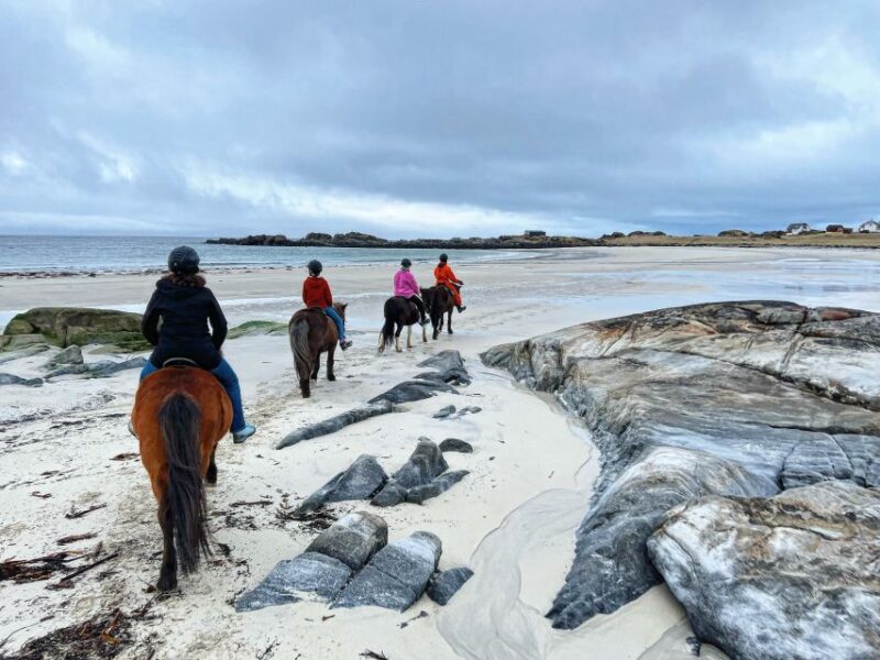 Lofoten: Guided Horse Riding Tour Over Hov and Hovsund - Tour Overview