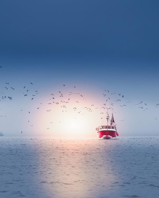 Lofoten in a Nutshell - 5 Hour Photography Sightseeing Tour - Historical Context